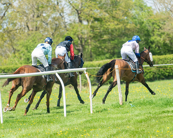Race 2 - Veteran Horse  (39 of 82)