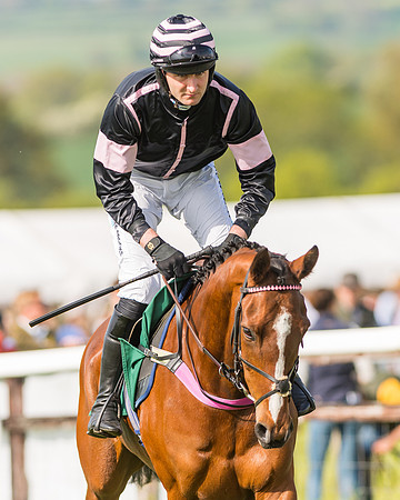 Race 5 - Restricted  (15 of 164)