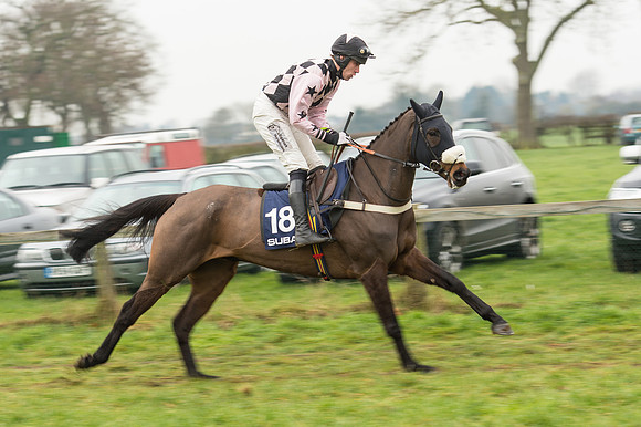 Race 5 - The Restricted Race (34 of 86).jpg