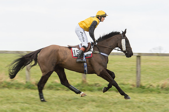 Race 2 - PPORA Novice riders  (41 of 186).jpg
