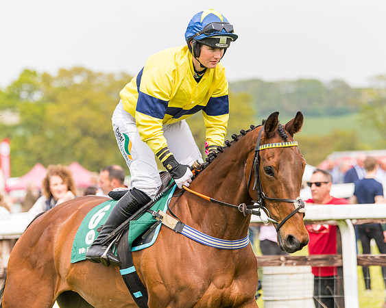 Race 2 - Owner-Trainer Conditions  (63 of 208)