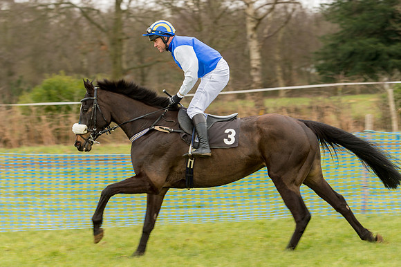 Race 2 - Novice and Veterans   (10 of 101).jpg
