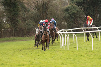 Race 1 - Young Horse Maiden (4 of 50).jpg
