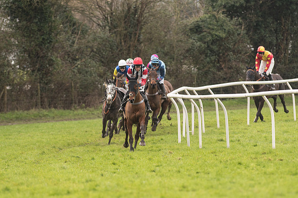 Race 1 - Young Horse Maiden (4 of 50).jpg