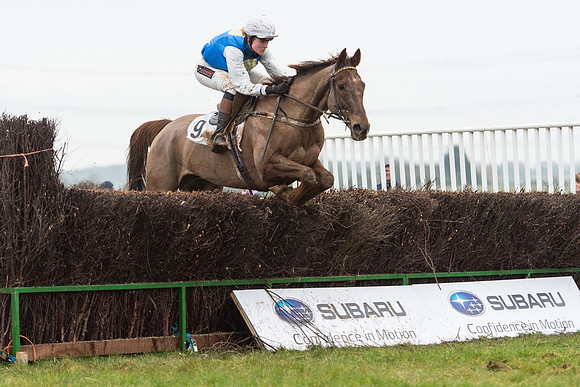 Race 6 - Open Maiden Race Div 1  (80 of 90).jpg