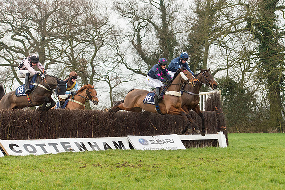 Race 5 - The Restricted Race (49 of 86).jpg