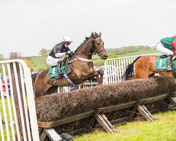 Race 2 - Owner-Trainer Conditions  (112 of 208)