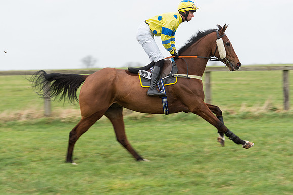 Race 7 - Open Maiden (54 of 131).jpg