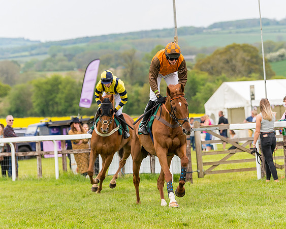 Race 7 - Veteran Horse conditions (74 of 244)