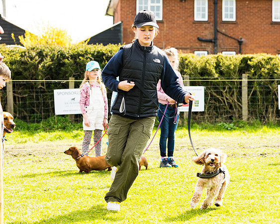 Dog show etc (66 of 157)