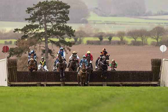Race 2 - Young Horse Maiden (40 of 110).jpg