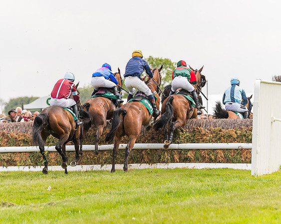 Race 2 - Owner-Trainer Conditions  (97 of 208)