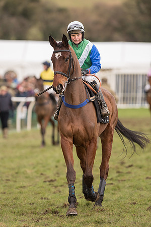 Race 6 - The Open Maiden (21 of 100).jpg