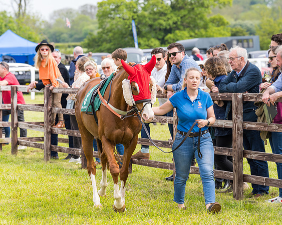 Race 2 - Owner-Trainer Conditions  (23 of 208)