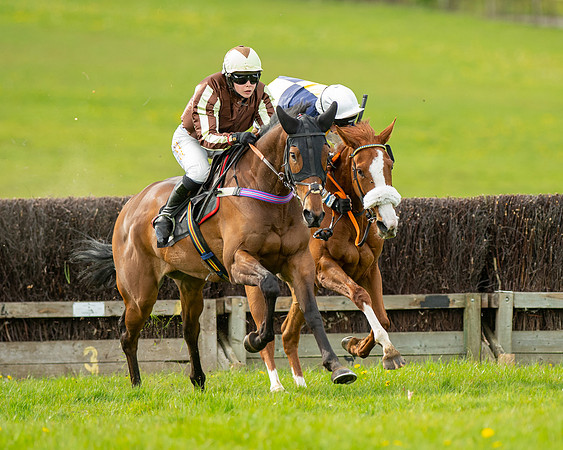 Race 5 - Open Maiden  (41 of 89)