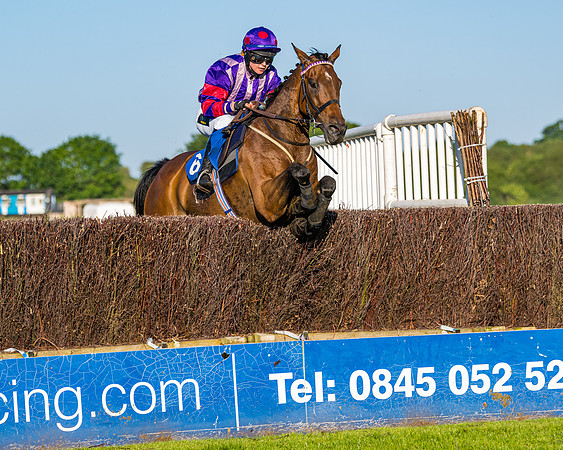 Race 4 - Foxhunters Championship (125 of 175)