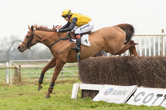 Race 4 - Ladies Open Race (89 of 96).jpg