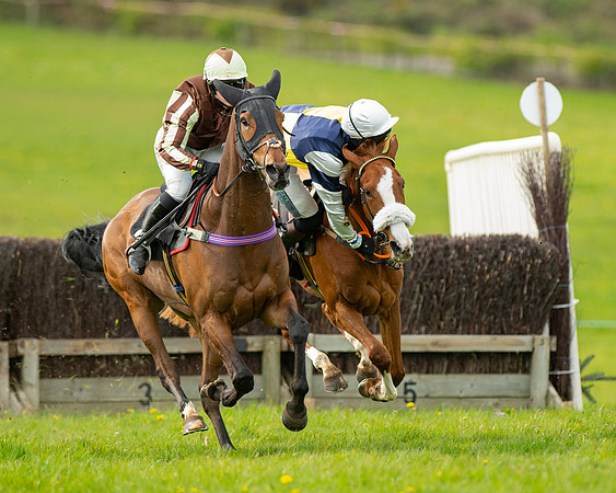 Race 5 - Open Maiden  (45 of 89)