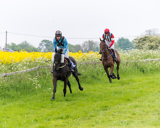 Race 6 - The Maiden [NWFAA] (16 of 143)