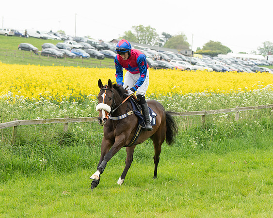 Race 2 - Five and Over restricted (22 of 136)