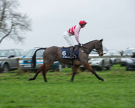 Race 4 - Restricted (4 of 58).jpg