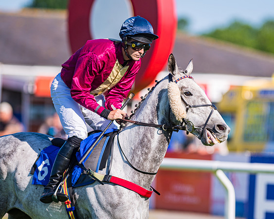 Race 1 - JFF Open Hunter Steeple Chase 2m  (44 of 202)