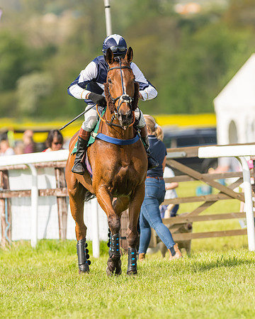 Race 5 - Restricted  (27 of 164)