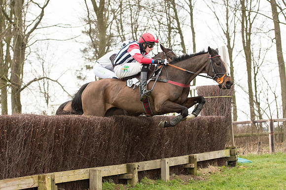 Race 2 - PPORA Novice riders  (92 of 186).jpg