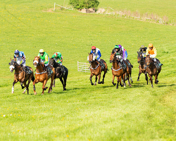 Race 6 - Restricted Race  (41 of 123)