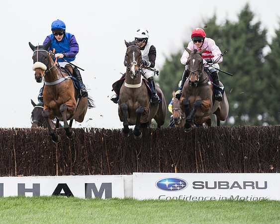 Race 4 - Restricted (21 of 58).jpg