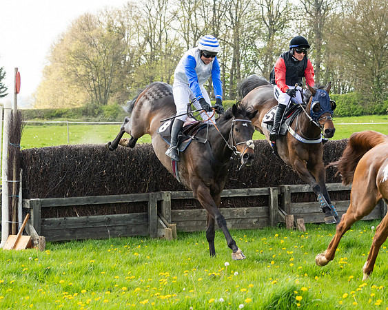 Race 2 - Veteran Horse  (68 of 82)