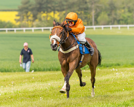 Pony Race 2 - 148cm (87 of 142)