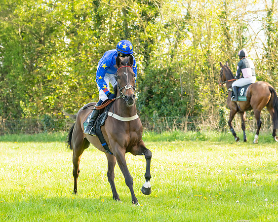Race 7 - Maiden  (21 of 113)