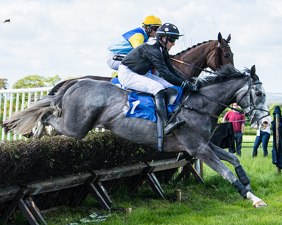 Race 5 - 2m5f Maiden (48 of 144)
