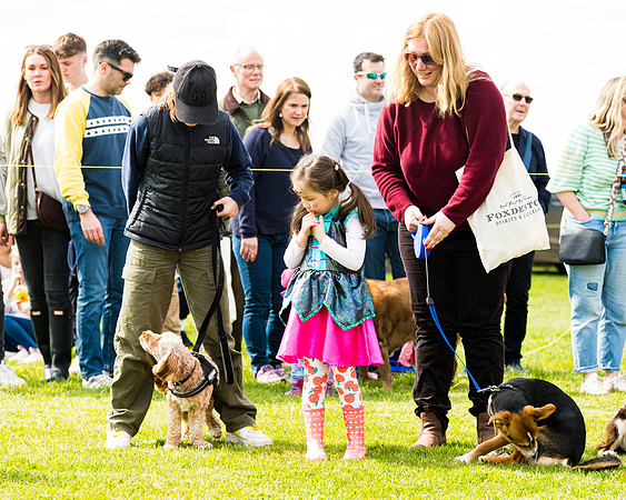 Dog show etc (49 of 157)