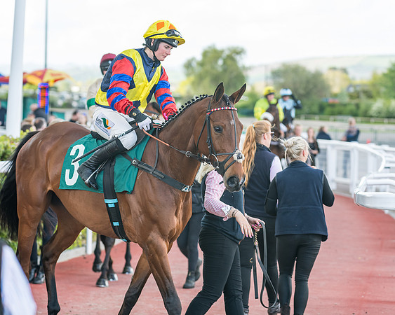 Race 3 - KTDA Open Hunter Chase (86 of 317)