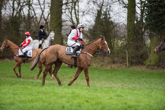 Race 5 - Ladies Open Race (21 of 119).jpg