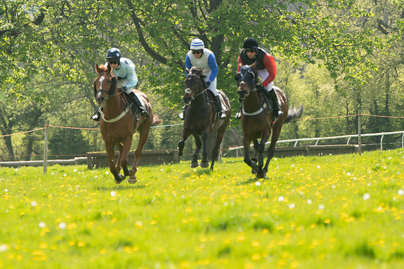 Race 2 - Veteran Horse  (55 of 82)