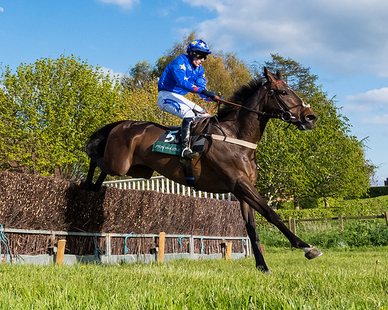 Race 7 - Maiden  (81 of 113)