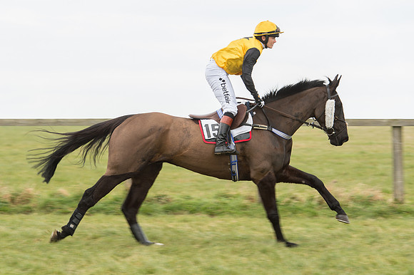 Race 2 - PPORA Novice riders  (42 of 186).jpg