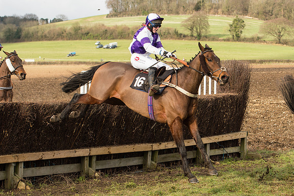Race 4 - Ladies Open (64 of 71).jpg