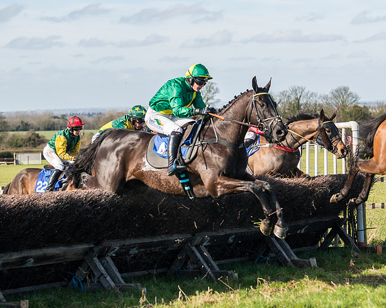 Race 1 - Open Maiden Division 1 (92 of 170)