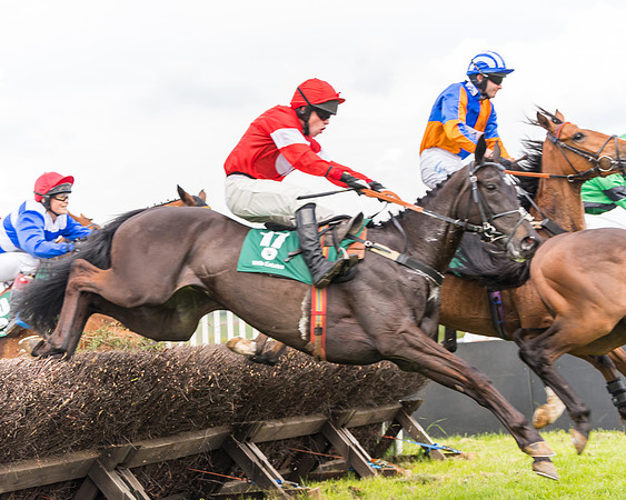 Race 6 = Maiden (85 of 187)