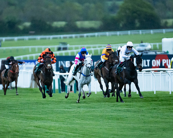 Race 7 - Gloucester Hussars Open  (37 of 154)