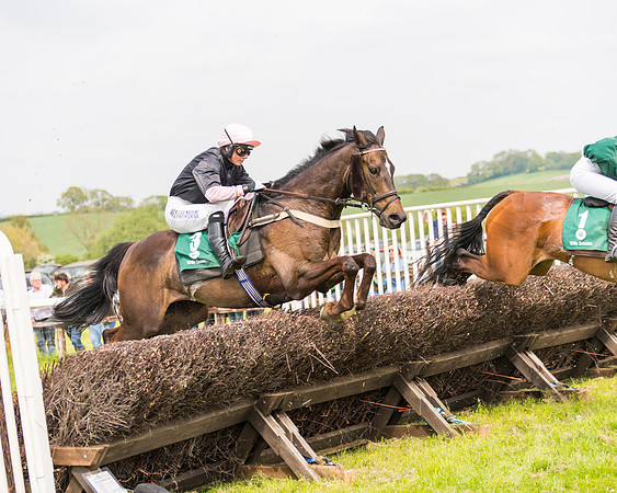 Race 2 - Owner-Trainer Conditions  (113 of 208)