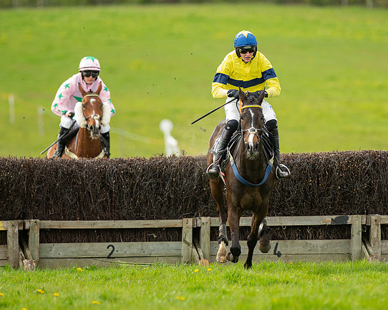 Race 5 - Open Maiden  (63 of 89)