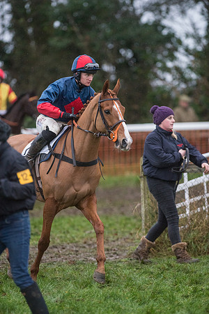 Race 8 - Young Horse Maiden  (8 of 85).jpg