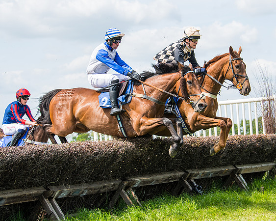 Race 2 - PPORA Novice Riders (210 of 444)