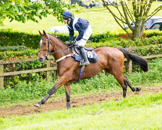 Race 5  - Novice riders (44 of 188)