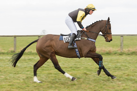 Race 2 - PPORA Novice riders  (27 of 186).jpg